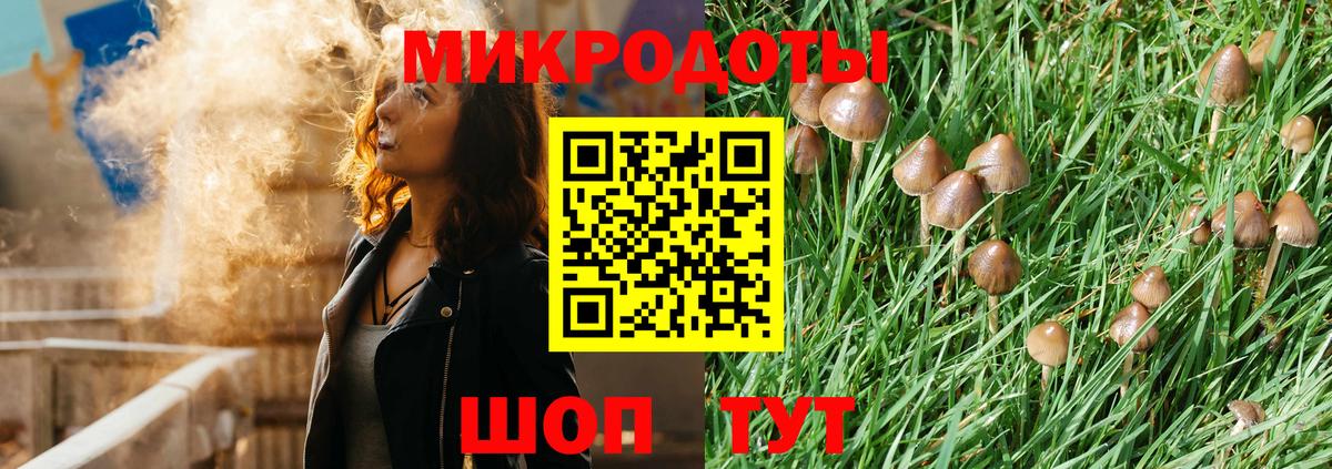 Псилоцибиновые грибы Magic Shrooms  Вход с VPN  Полевской 