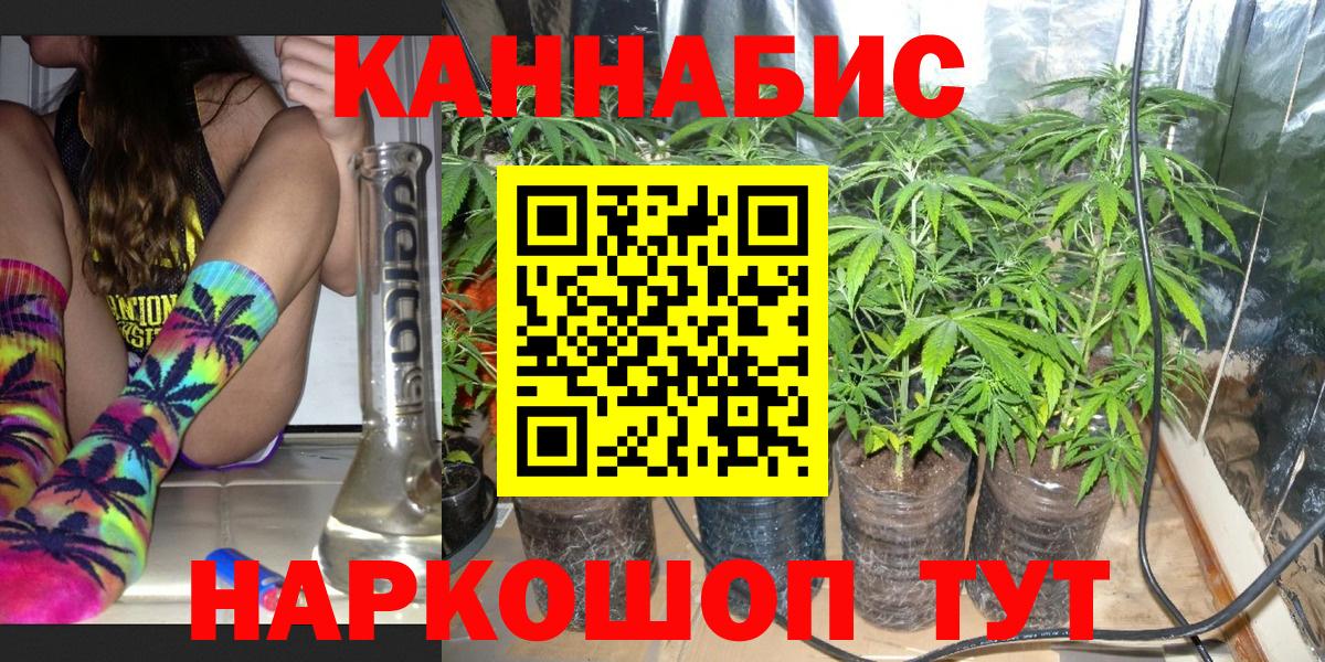 Бошки марихуана OG Kush  Каннабис планчик  Полевской  Вход с VPN  Бошки марихуана планчик  Бошки марихуана конопля 
